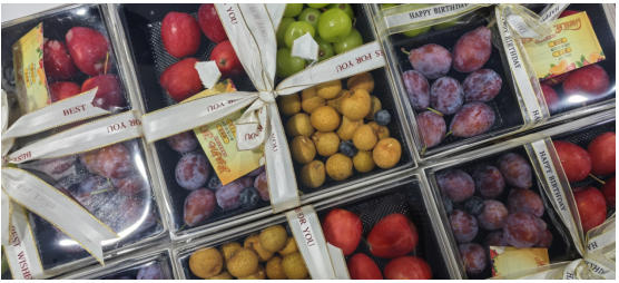 牛宝体育app官方下载