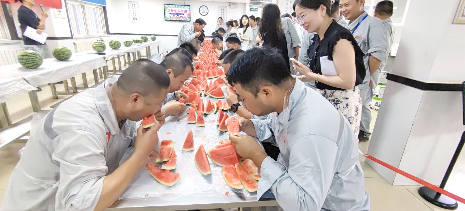 牛宝体育app官方下载