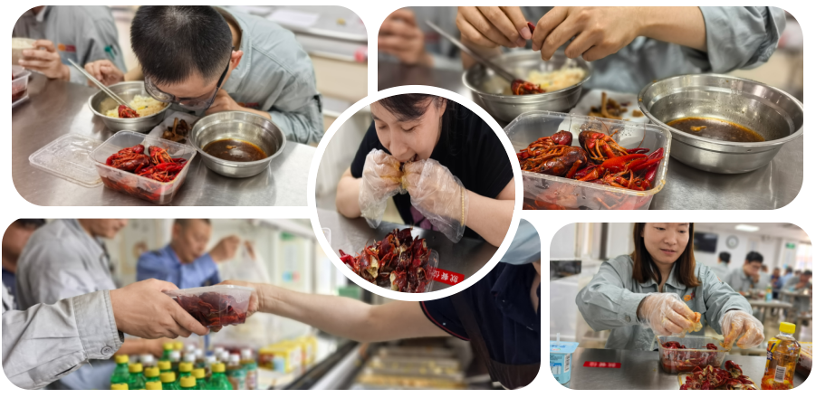 牛宝体育app官方下载