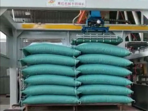 码垛机腾阳龙门码垛机械手