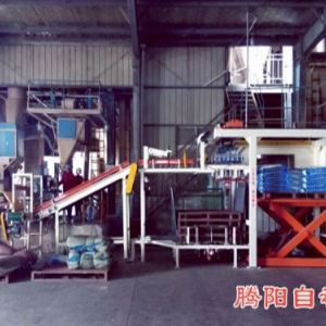 全自动码垛机在饲料行业的应用视频