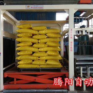 腾阳高位码垛机的优势体现在哪里呢?