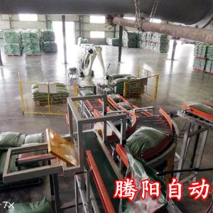 码垛机机器人搬运流水线设备