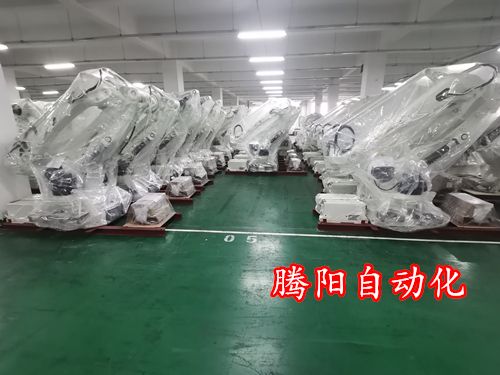 工业码垛机器人,化肥码垛机