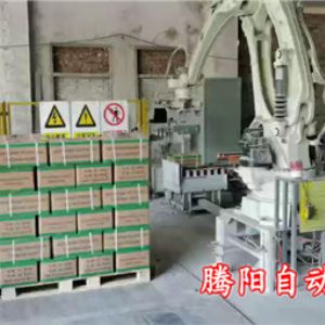 能用于纸箱码垛的设备-全自动码垛机器人
