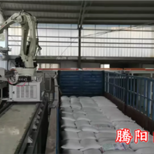 机械手装车机适用于多种车型效率高