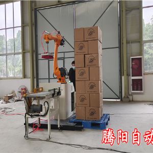 箱装移动式码垛机食品行业应用轻松码垛2.5米