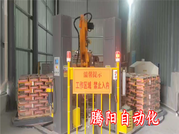 砂浆码垛机器人缠绕机建筑材料生产自动化新星
