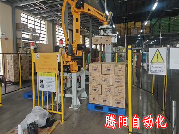 箱装码垛机器人