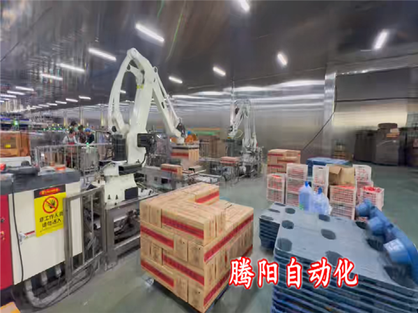 箱装食品码垛机器人