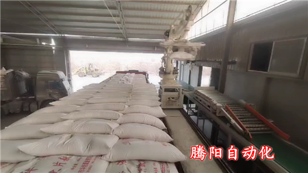 袋装装车机器人解放装车工人