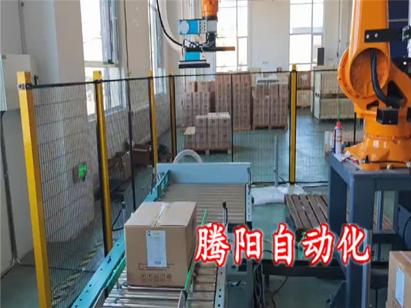 箱装协作码垛机器人